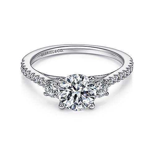 3-Stone & Diamond Shank Engagement Ring